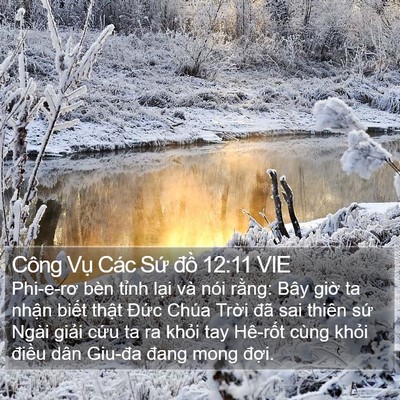 Công Vụ Các Sứ đồ 12:11 VIE Bible Verse Image