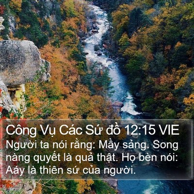 Công Vụ Các Sứ đồ 12:15 VIE Bible Verse Image
