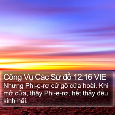 Công Vụ Các Sứ đồ 12:16 VIE Bible Verse Image