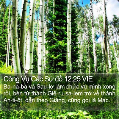 Công Vụ Các Sứ đồ 12:25 VIE Bible Verse Image