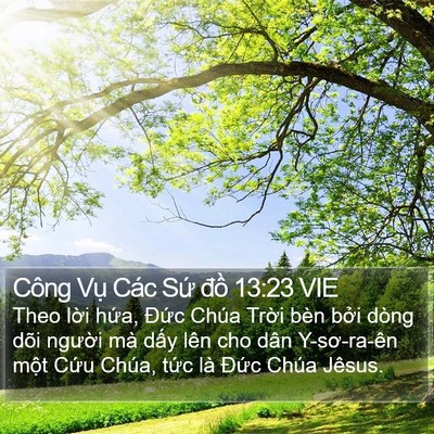 Công Vụ Các Sứ đồ 13:23 VIE Bible Verse Image