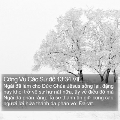 Công Vụ Các Sứ đồ 13:34 VIE Bible Verse Image