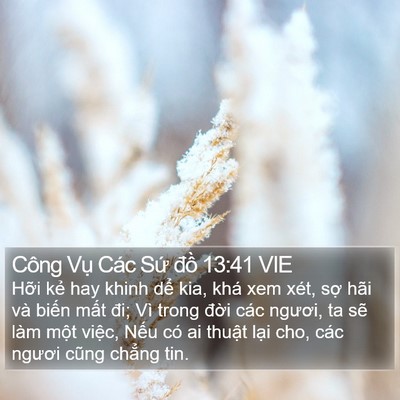 Công Vụ Các Sứ đồ 13:41 VIE Bible Verse Image
