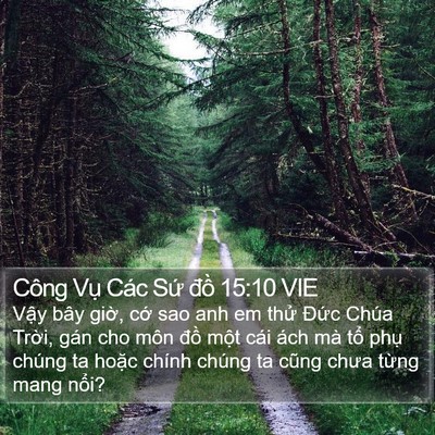 Công Vụ Các Sứ đồ 15:10 VIE Bible Verse Image