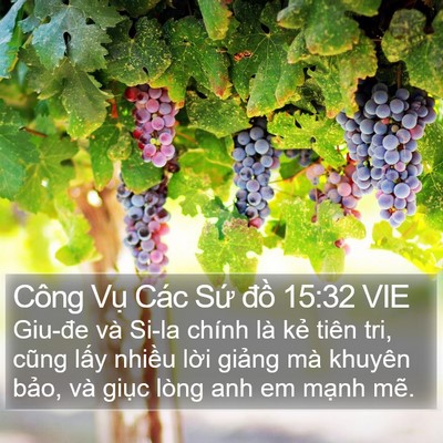 Công Vụ Các Sứ đồ 15:32 VIE Bible Verse Image