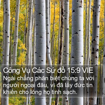 Công Vụ Các Sứ đồ 15:9 VIE Bible Verse Image