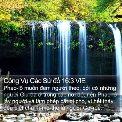 Công Vụ Các Sứ đồ 16:3 VIE Bible Verse Image
