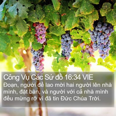 Công Vụ Các Sứ đồ 16:34 VIE Bible Verse Image