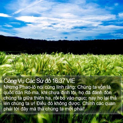 Công Vụ Các Sứ đồ 16:37 VIE Bible Verse Image