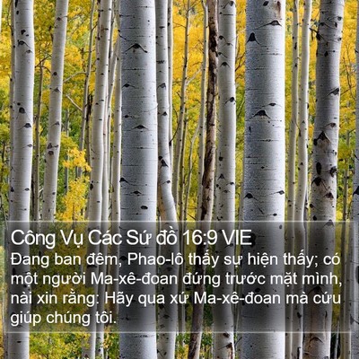Công Vụ Các Sứ đồ 16:9 VIE Bible Verse Image