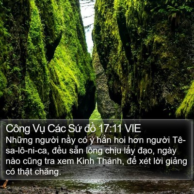 Công Vụ Các Sứ đồ 17:11 VIE Bible Verse Image