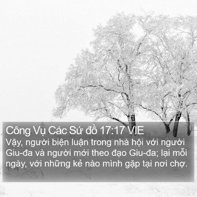 Công Vụ Các Sứ đồ 17:17 VIE Bible Verse Image