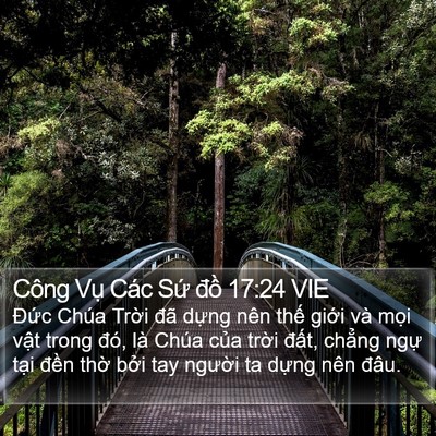 Công Vụ Các Sứ đồ 17:24 VIE Bible Verse Image