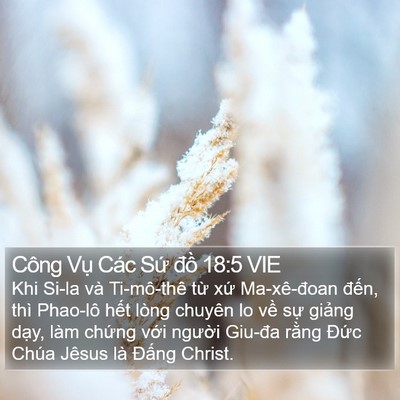Công Vụ Các Sứ đồ 18:5 VIE Bible Verse Image