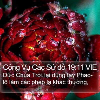 Công Vụ Các Sứ đồ 19:11 VIE Bible Verse Image