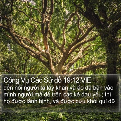 Công Vụ Các Sứ đồ 19:12 VIE Bible Verse Image