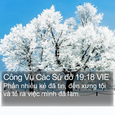 Công Vụ Các Sứ đồ 19:18 VIE Bible Verse Image