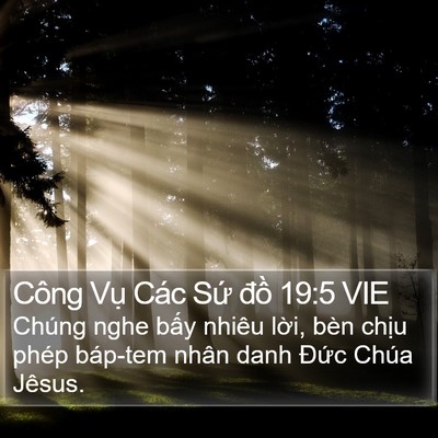 Công Vụ Các Sứ đồ 19:5 VIE Bible Verse Image