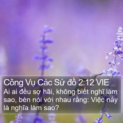 Công Vụ Các Sứ đồ 2:12 VIE Bible Verse Image