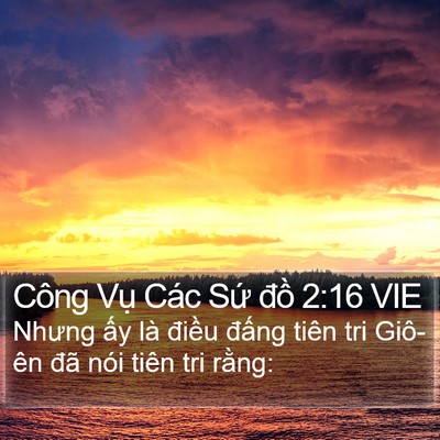Công Vụ Các Sứ đồ 2:16 VIE Bible Verse Image