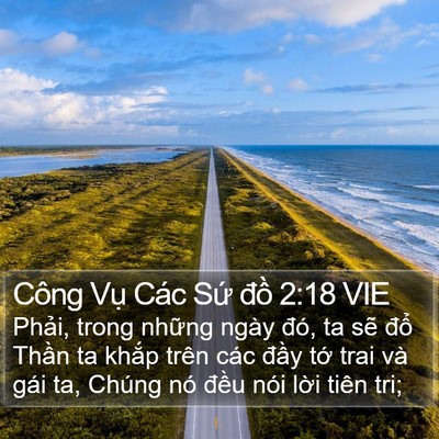 Công Vụ Các Sứ đồ 2:18 VIE Bible Verse Image