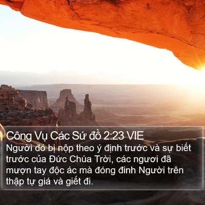 Công Vụ Các Sứ đồ 2:23 VIE Bible Verse Image