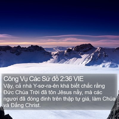 Công Vụ Các Sứ đồ 2:36 VIE Bible Verse Image