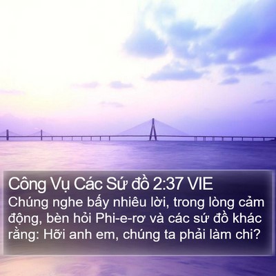 Công Vụ Các Sứ đồ 2:37 VIE Bible Verse Image