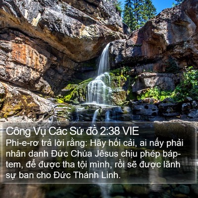 Công Vụ Các Sứ đồ 2:38 VIE Bible Verse Image