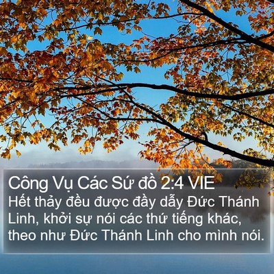 Công Vụ Các Sứ đồ 2:4 VIE Bible Verse Image