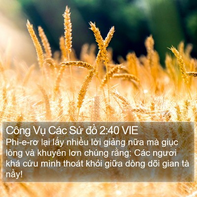 Công Vụ Các Sứ đồ 2:40 VIE Bible Verse Image