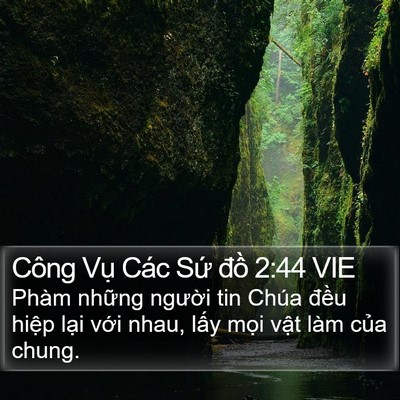 Công Vụ Các Sứ đồ 2:44 VIE Bible Verse Image