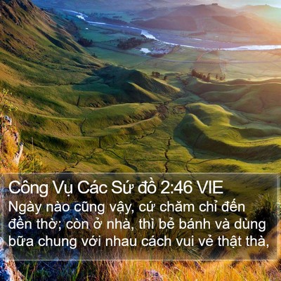 Công Vụ Các Sứ đồ 2:46 VIE Bible Verse Image