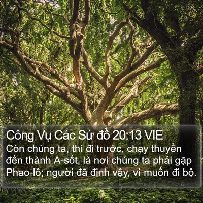 Công Vụ Các Sứ đồ 20:13 VIE Bible Verse Image