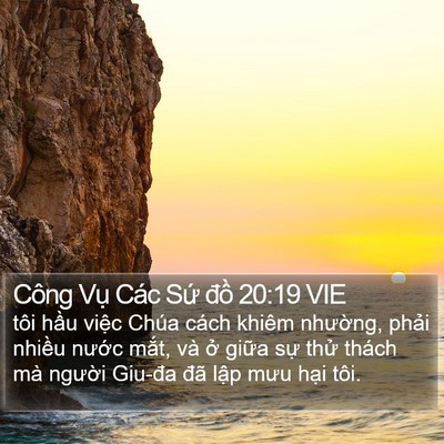 Công Vụ Các Sứ đồ 20:19 VIE Bible Verse Image