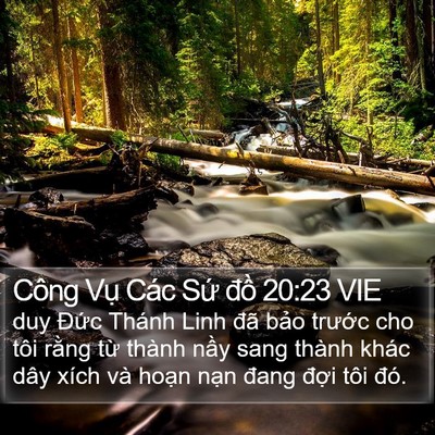 Công Vụ Các Sứ đồ 20:23 VIE Bible Verse Image