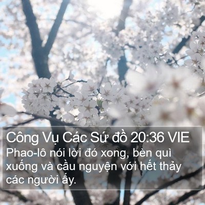 Công Vụ Các Sứ đồ 20:36 VIE Bible Verse Image