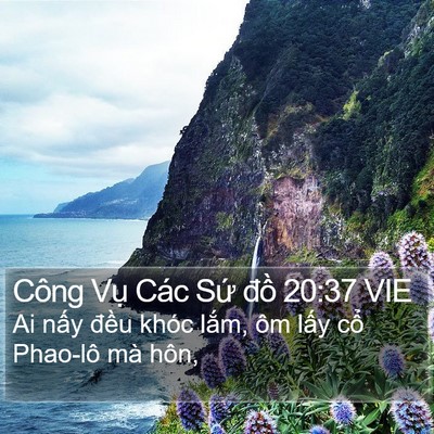 Công Vụ Các Sứ đồ 20:37 VIE Bible Verse Image