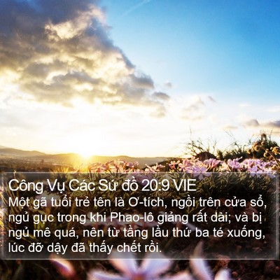 Công Vụ Các Sứ đồ 20:9 VIE Bible Verse Image