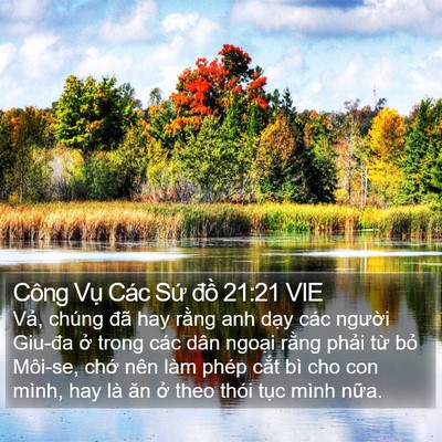 Công Vụ Các Sứ đồ 21:21 VIE Bible Verse Image