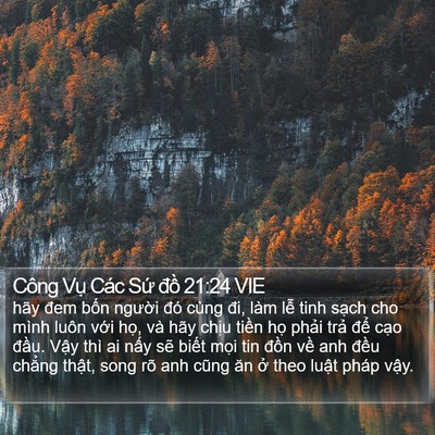 Công Vụ Các Sứ đồ 21:24 VIE Bible Verse Image