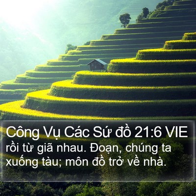 Công Vụ Các Sứ đồ 21:6 VIE Bible Verse Image