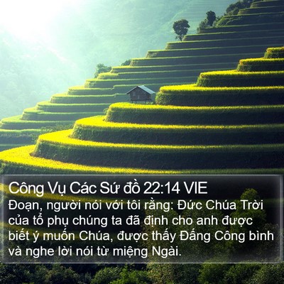 Công Vụ Các Sứ đồ 22:14 VIE Bible Verse Image