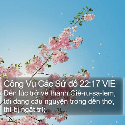 Công Vụ Các Sứ đồ 22:17 VIE Bible Verse Image