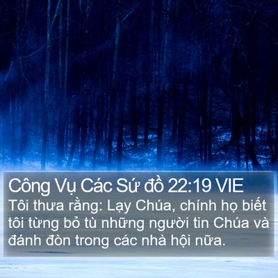 Công Vụ Các Sứ đồ 22:19 VIE Bible Verse Image