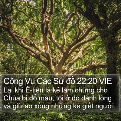 Công Vụ Các Sứ đồ 22:20 VIE Bible Verse Image
