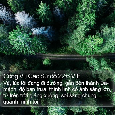 Công Vụ Các Sứ đồ 22:6 VIE Bible Verse Image