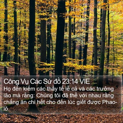 Công Vụ Các Sứ đồ 23:14 VIE Bible Verse Image