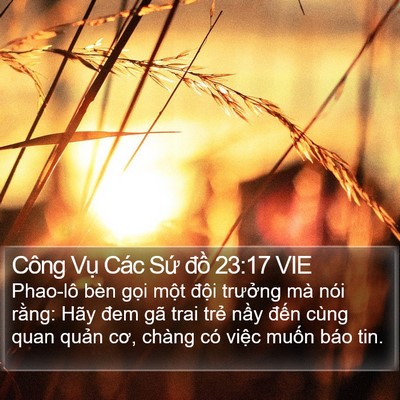 Công Vụ Các Sứ đồ 23:17 VIE Bible Verse Image