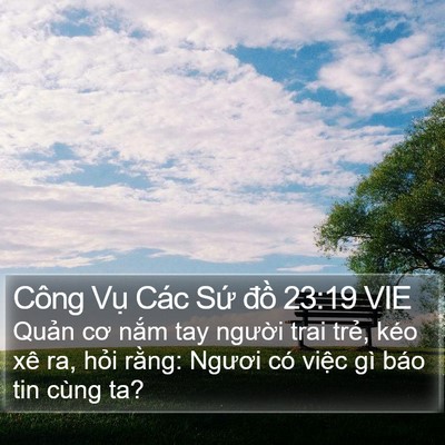 Công Vụ Các Sứ đồ 23:19 VIE Bible Verse Image